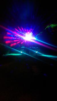 Picture 2